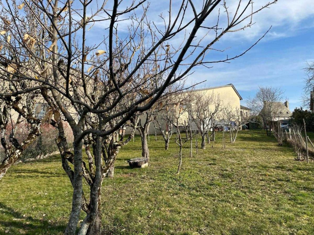 Charmante Maison 3 Chambres Avec Jardin, Cheminee, Parking, Proche Conques Et Activites Plein Air - Fr-1-742-168 Cassaniouze 外观 照片